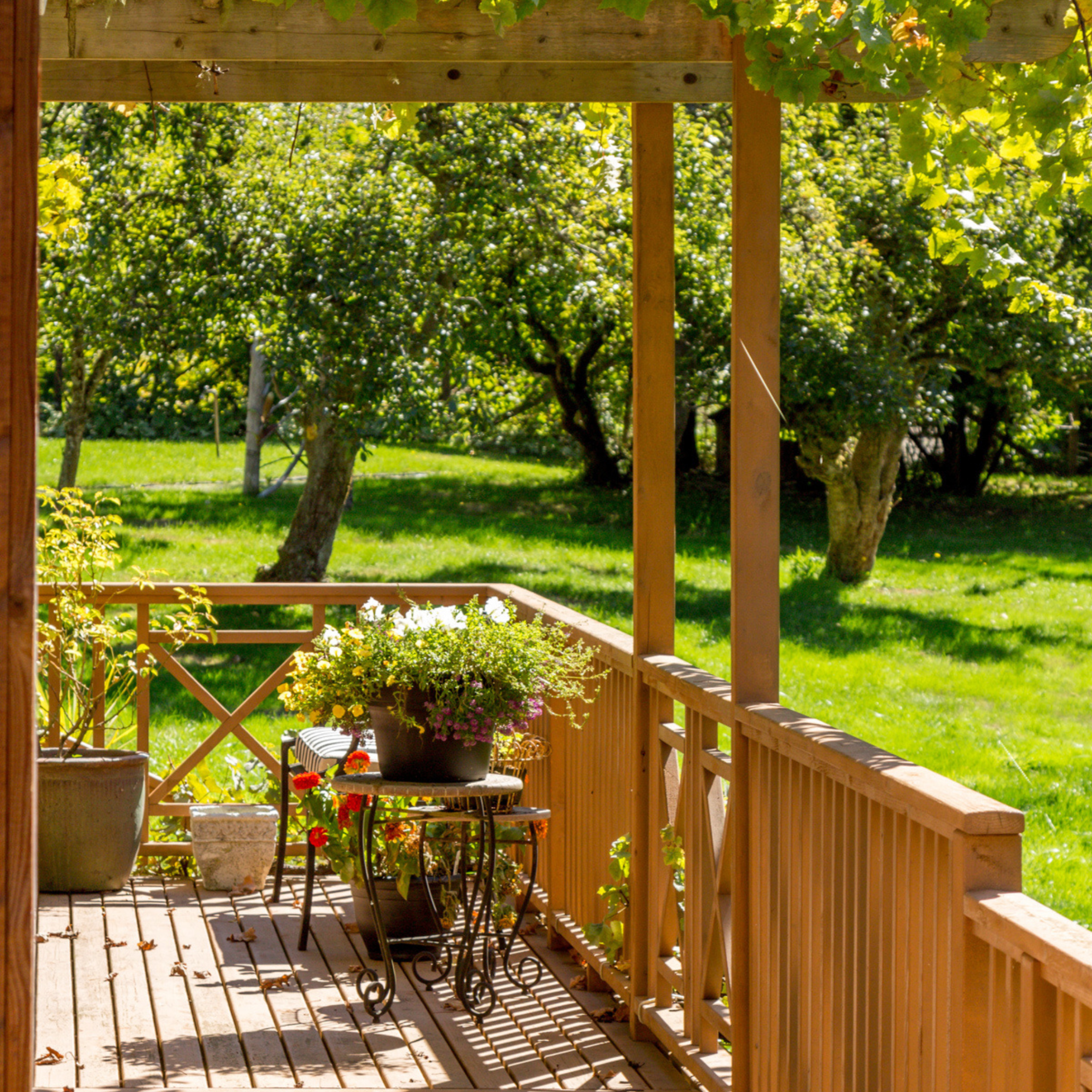 Bainbridge Island Neighborhoods