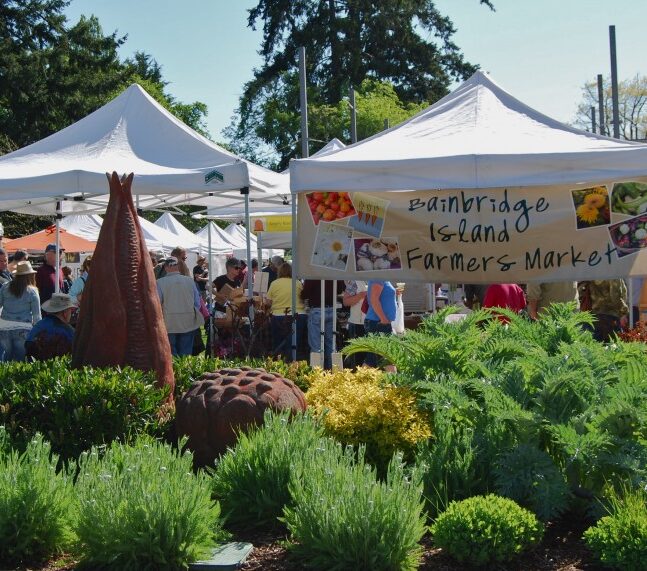 Bainbridge Island Farmers Market Winslow Neighborhood