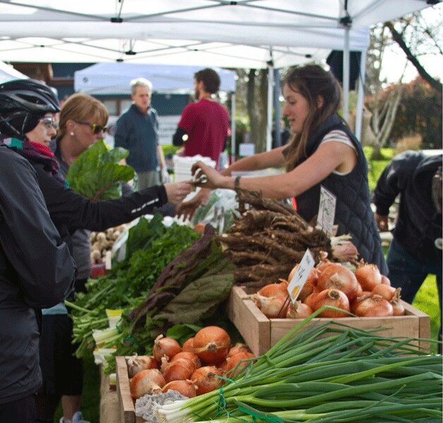 Bainbridge Island Farmers Market