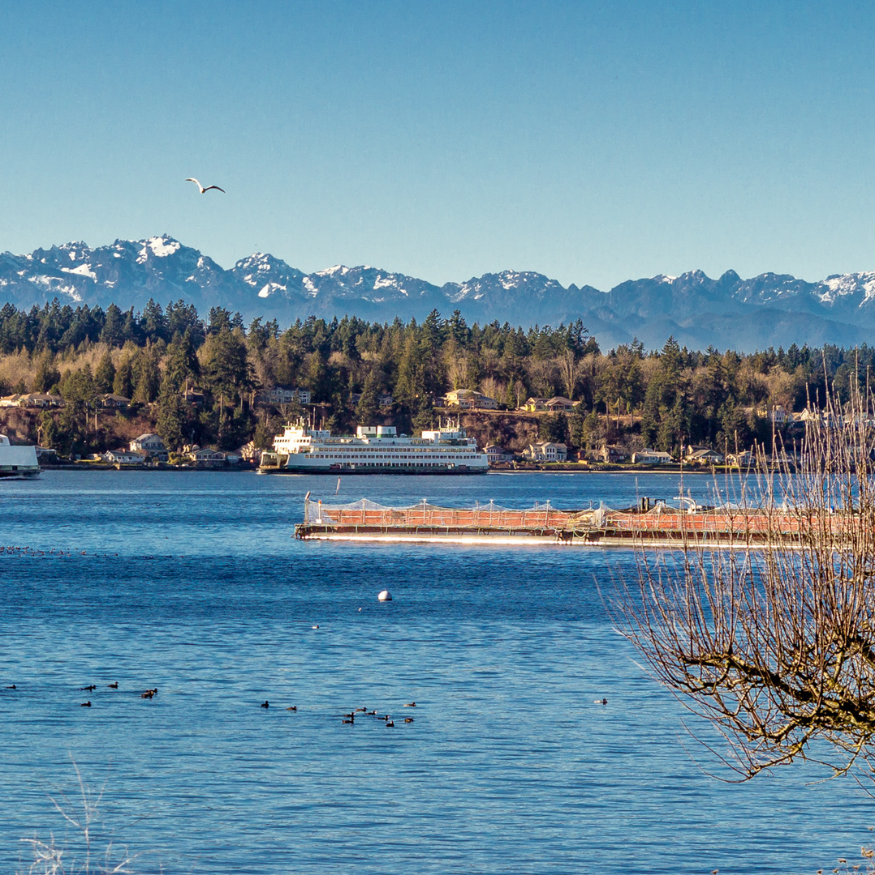 South Beach Bainbridge Island