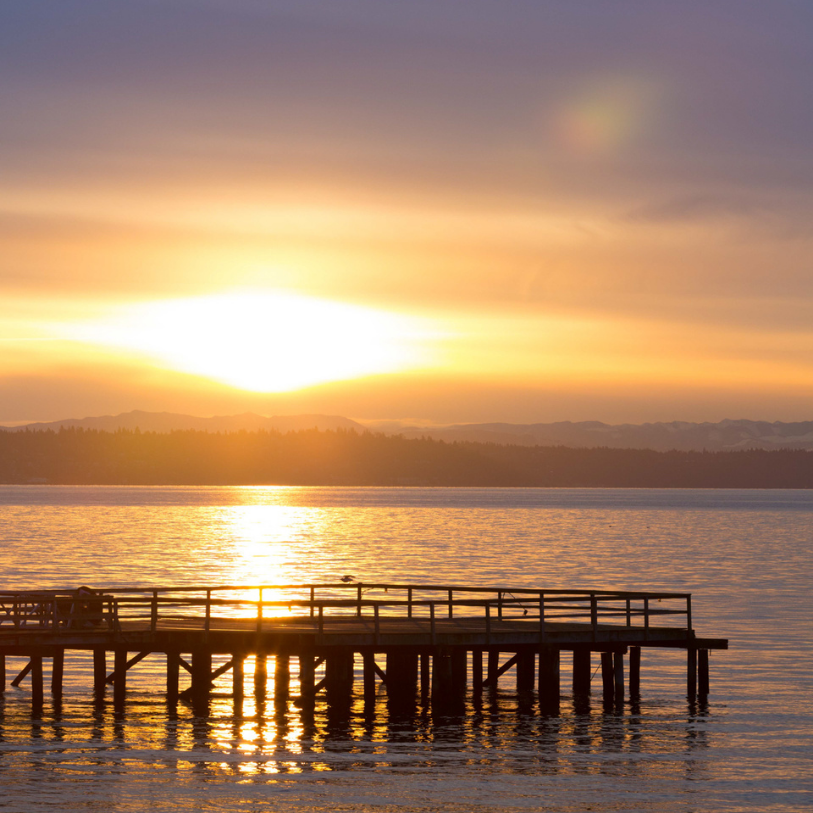 homes for sale Bainbridge Island (3)