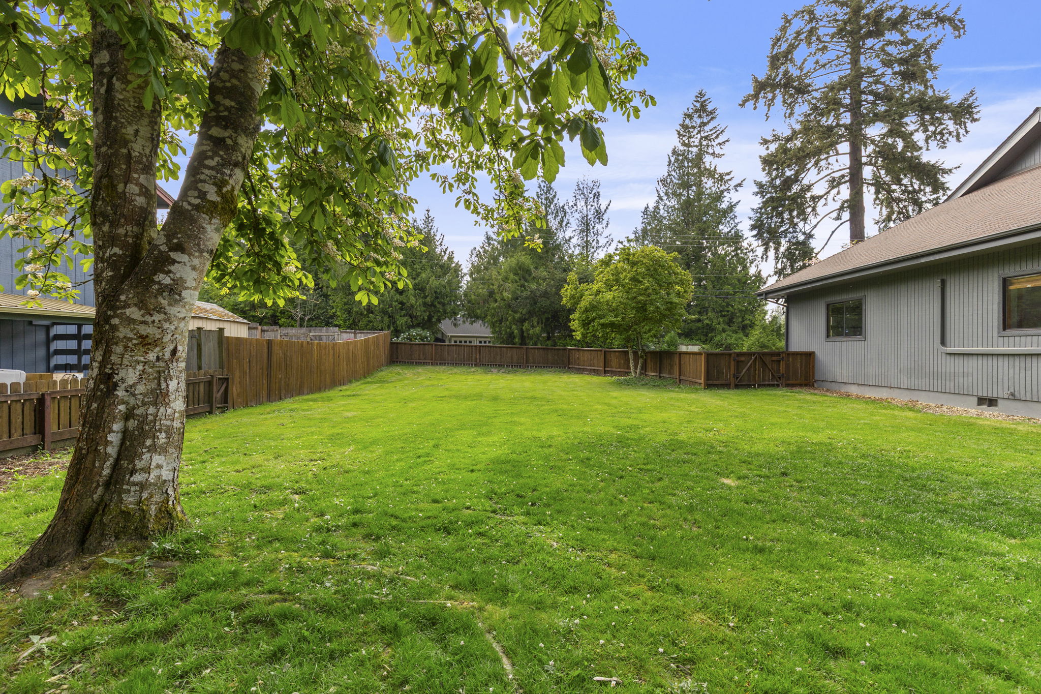 35-web-or-mls-MapleValley-36