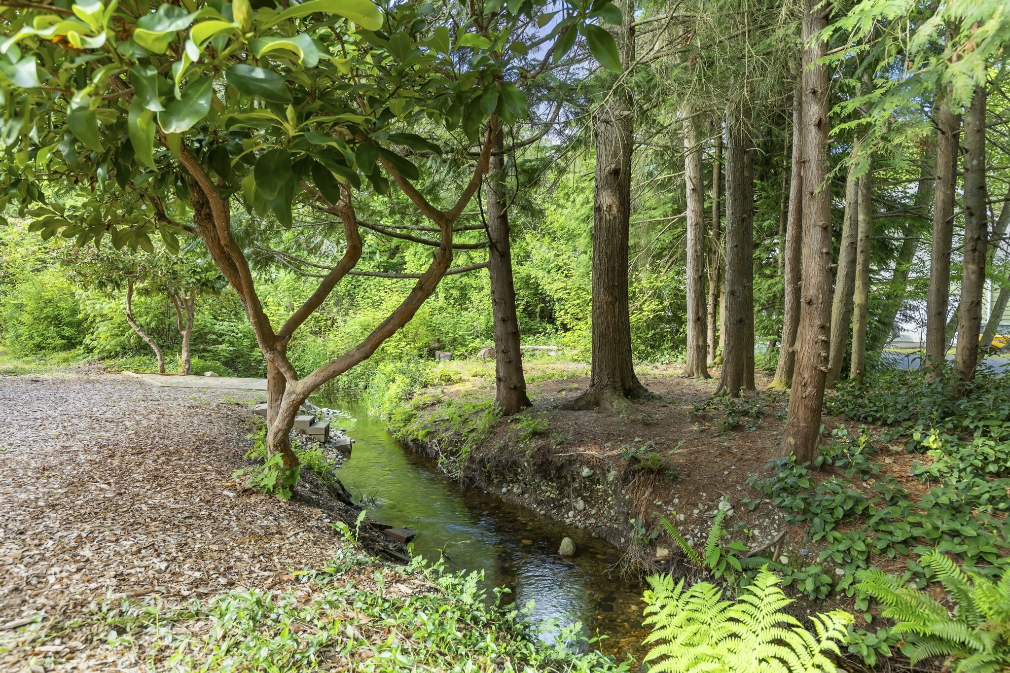 41-web-or-mls-MapleValley-42