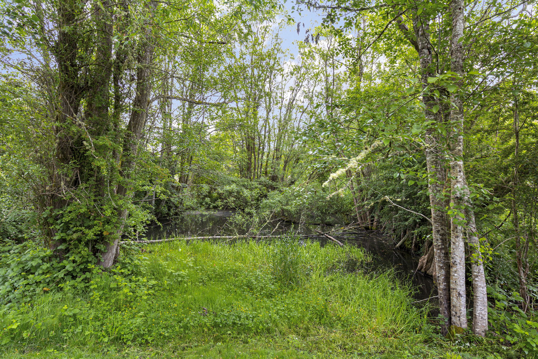 41-web-or-mls-NewSweden-43