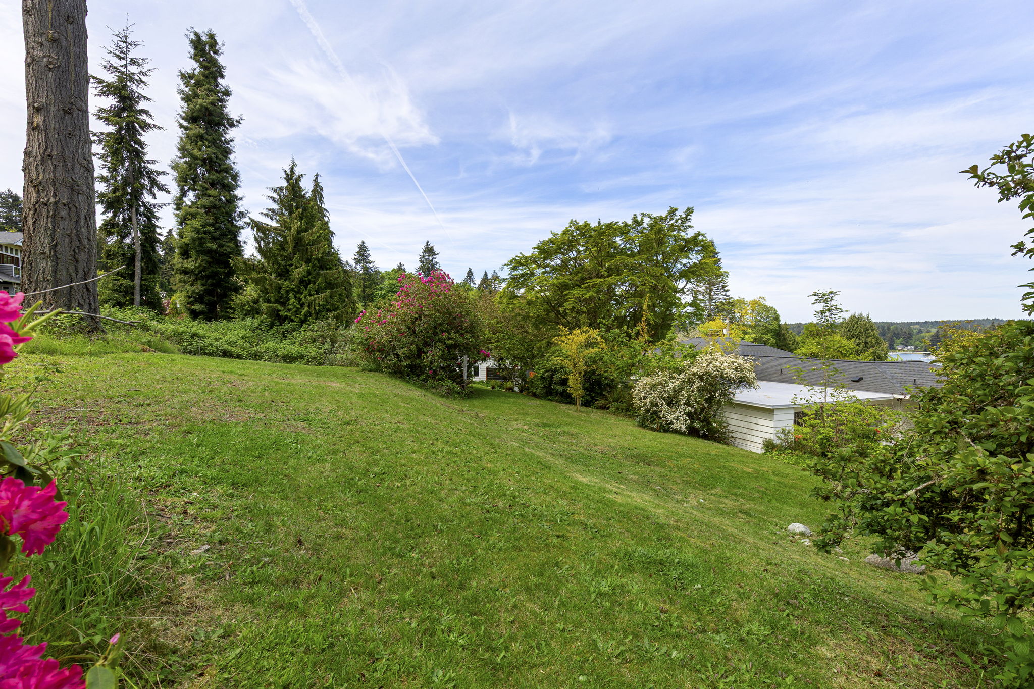 45-web-or-mls-RoseLoop48