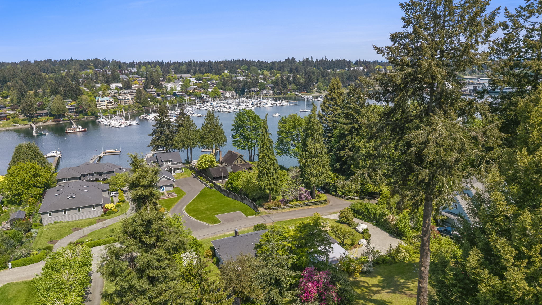 46-web-or-mls-RoseLoop41