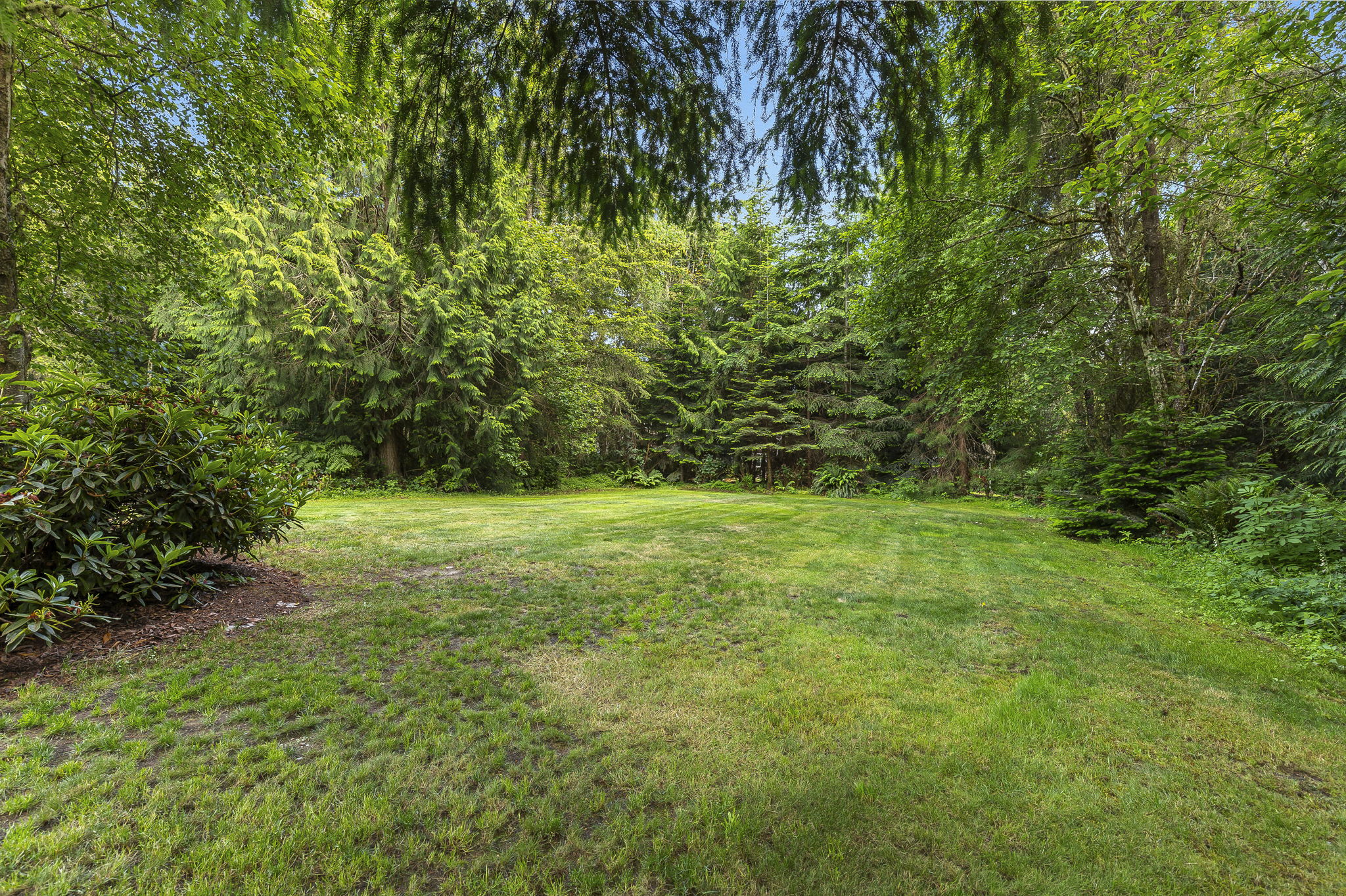 53-web-or-mls-ClearCreek-44