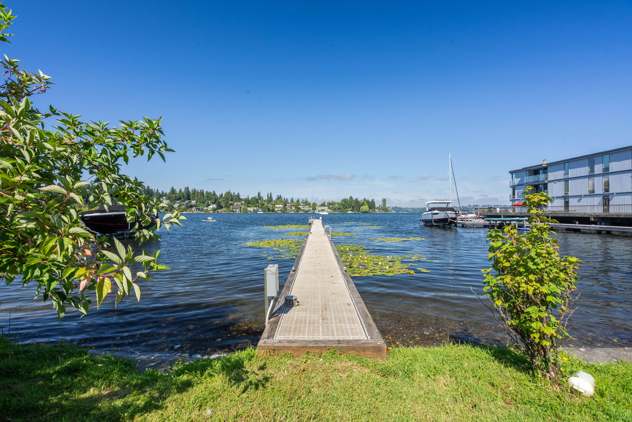 11-web-or-mls-DSC07667