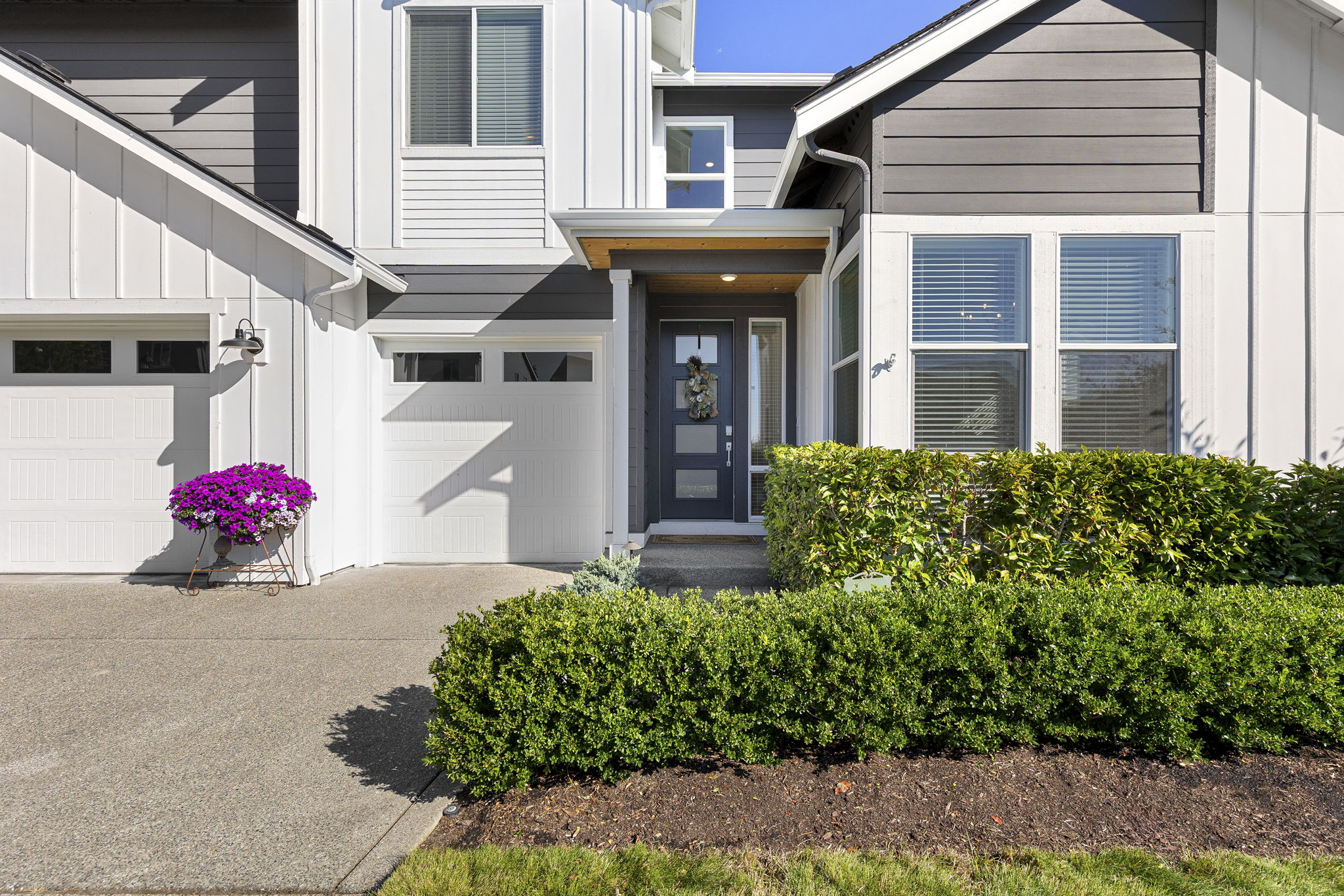 3-web-or-mls-Waterlily-4